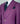 Costume classique d'affaires fuchsia à boutons dorés